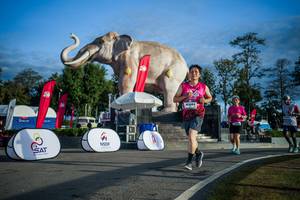 BIB: 
                            <button type="button" onclick="openModal(26541678)" class="btn btn-primary btn-sm float-right btn-popup" data-toggle="modal" data-target=".modal-high-quality">
                        <i class="fas fa-shopping-cart"></i> Add to Cart
                    </button>
                                            <button type="button" onclick="isThisMe(26541678, true)" class="btn btn-success btn-sm float-right btn-popup btn-isme hidden" data-toggle="tooltip" data-placement="bottom" title="นี่คือรูปของคุณใช่ไหม คลิกที่นี่เพื่อเอาเข้าอัลบั้ม">
                        <i class="fas fa-plus"></i> Add to album
                    </button>
                    <button type="button" onclick="isThisMe(26541678, false)" class="btn btn-warning btn-sm float-right btn-popup btn-isnotme hidden">
                        <i class="fas fa-ban"></i> Remove from album
                    </button>